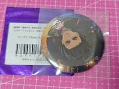 鬼滅の刃 無限城編ティザー期ランダム缶バッジ冨岡義勇