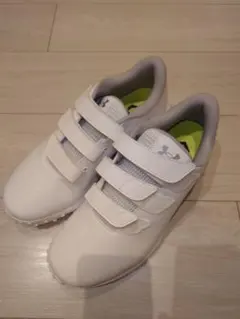 Item thumbnail for item c2df42c9-2418-4498-9bc5-d3df8fa234be