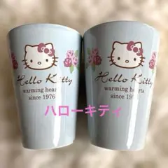 【ハローキティ】 マグカップ 2個セット ペア 1976 サンリオ