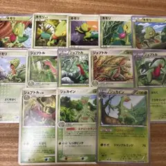 ポケモンカード ジュカイン ジュプトル キモリ イタリア語 英語 - メルカリ