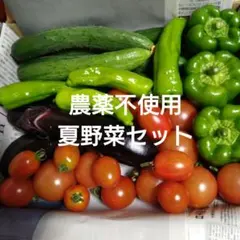 農薬不使用　夏野菜セットのサムネイル