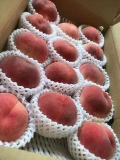 山梨一宮の甘い桃 4キロ箱にめいっぱい12〜14個詰め発送 人気商品