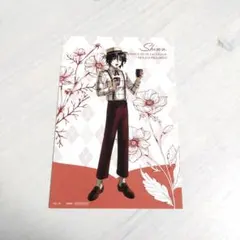 ガンダムseed シンアスカ