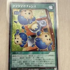 遊戯王ラッシュデュエル タマタマガチャンス シークレット