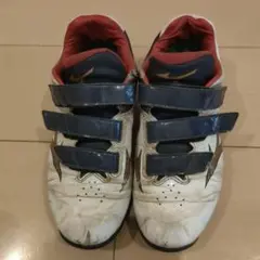 ミズノ 野球 トレーニングシューズ 25cm