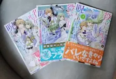役立たず聖女と呪われた聖騎士 1〜3巻セット