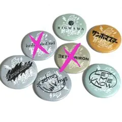 レディクレ】 缶バッジ6種セット - メルカリ