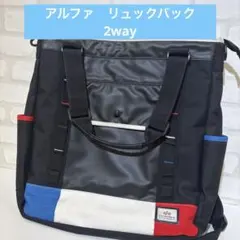 ALPHA INDUSTRIES リュック バックパック　2wayのサムネイル