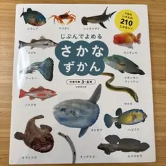 じぶんでよめるさかなずかん 対象年齢3～6歳 うみのいきもの210しゅるい!