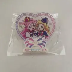 わんぷり ワンダフル フレンディ こむぎ いろは アクリル バッジ プリスト