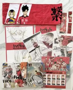 ガ*タ様 ハイキュー ゴミ捨て場の決戦 入場特典 セミ コンプリート　おまけ付き