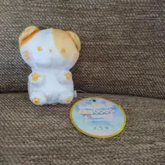 【未使用】shinyキャット マスコットG H デコレーションパーツ付き