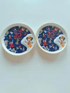 東京ディズニーリゾート 30周年 ミッキー皿 2枚セット