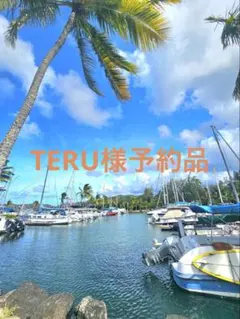 Item thumbnail for item 2043420d-7ae9-46c5-8bd8-2c784a936653