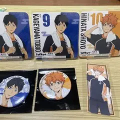 ハイキュー　極楽湯　コラボグッズ　缶バッジ　コースター日向翔陽　影山飛雄