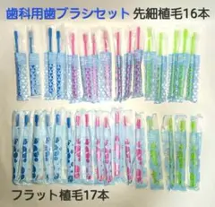 Item thumbnail for item f0f1798c-4544-4062-a623-9436344bb560