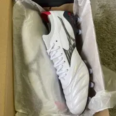 モレリアネオ4β