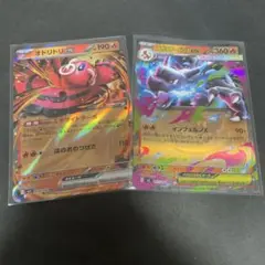 ポケモンカード メガリザードン　オドリドリ