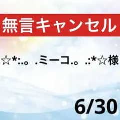 ☆*:.。.ミーコ.。.:*☆様専用♥️