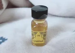 よりけん様 リクエスト 2点 まとめ商品