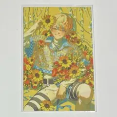 緋八マナ ノスタルジア
