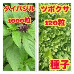 さとう様 リクエスト 3点 まとめ商品