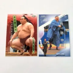 Item thumbnail for item 5f120f42-bfc9-4c37-a189-2181721f3424