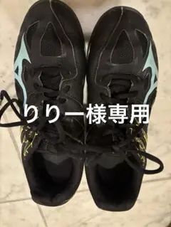 Mizuno バレーボールシューズ ブラック/ブルー24.5