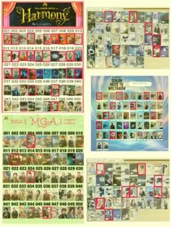 ミセスグリーンアップル　フォトカード