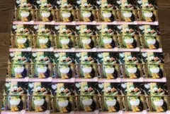 ディズニー　パルパルーザ　ヴァネロペ　コレクションカード　ドナルド