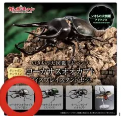 いきもの大図鑑アドバンス　コーカサスオオカブト（ジャワ島）　オンライン版