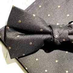 ○蝶ネクタイ　ドット柄　新郎　メンズ　挙式　フォーマルセット　Yxd