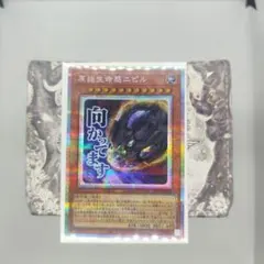 2026年最新】原始生命態ニビルの人気アイテム - メルカリ