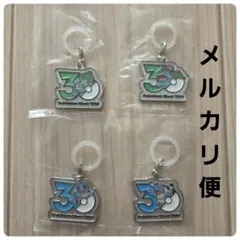 ポケモン 30周年 メタルチャーム マスコット
