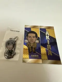 AKIRA  千社札・クリーナーチャーム