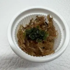 ビカクシダ バクテリア（Bacteria）前葉体のサムネイル