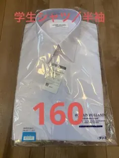 Item thumbnail for item ca3d2c8b-a06b-4e13-82ae-8e8ecd8f761a