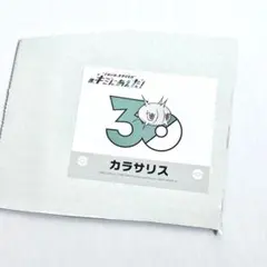 ポケモン キミにあえた キチキギス ステッカー シール - メルカリ