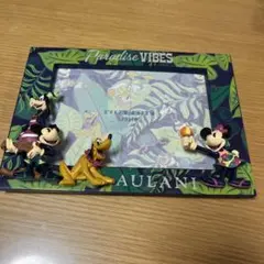 アウラニ　ディズニー　フォトフレーム