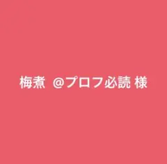 梅煮 @プロフ必読 様専用ページ