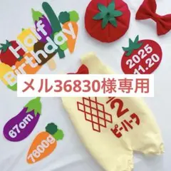 メル36830様 リクエスト 2点 まとめ商品