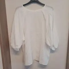 Item thumbnail for item 5bfd09c3-37d8-4827-9195-7da195630ccf