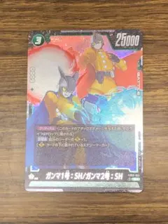 ガンマ1号:SH / ガンマ2号:SH　FB09-051 SR　ドラゴンボール