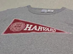 美品 Champion チャンピオン Tシャツ バナー柄 アメリカ製 米国古着