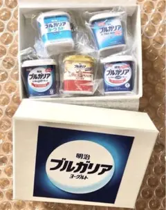 ブルガリア ヨーグルト ミニチュア ミニチャーム 5個セット