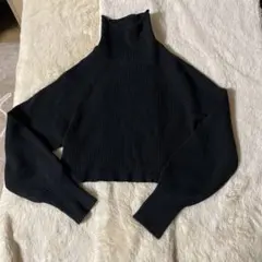 ingrid 黒 ハイネック クロップドニット