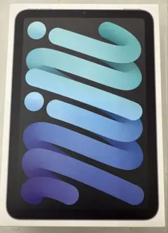 J*D様 ジャンク品　iPad mini (第6世代) 64GB スペースグレー