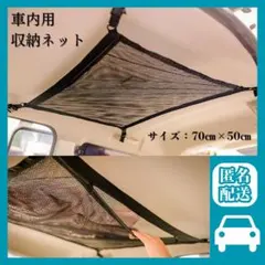 Item thumbnail for item 251ad831-2588-4d84-827e-4d32954a747f