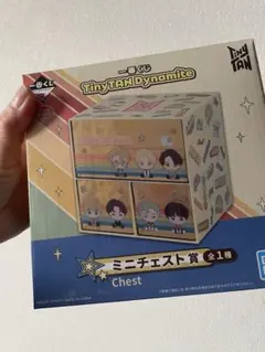 BTS TinyTAN Dynamite ミニチェスト賞