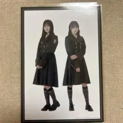櫻坂46大園玲増本綺良生写真